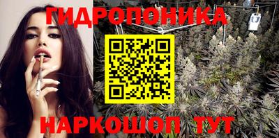 индика Будённовск