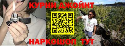 индика Будённовск