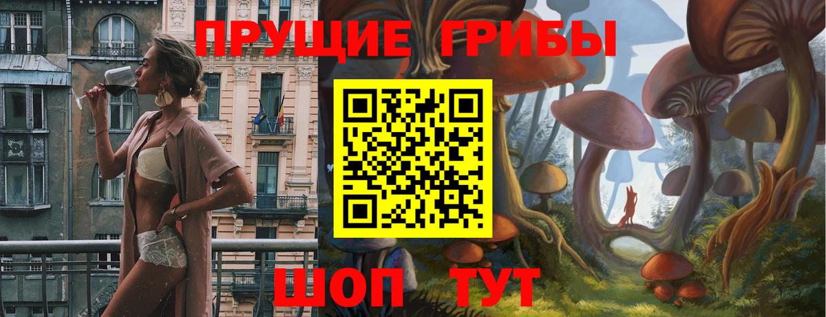 Псилоцибиновые грибы Psilocybe Сергиев Посад